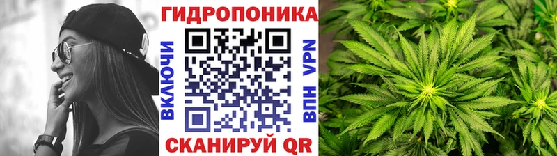 Марихуана марихуана  Донецк 